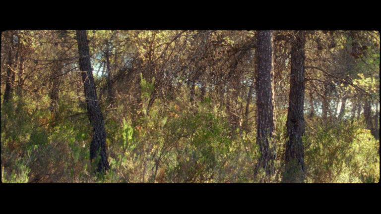 BAL_FOTO_05