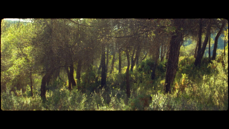 BAL_FOTO_06